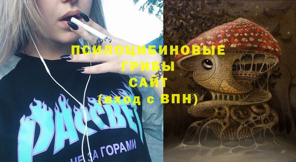 первитин Алексин