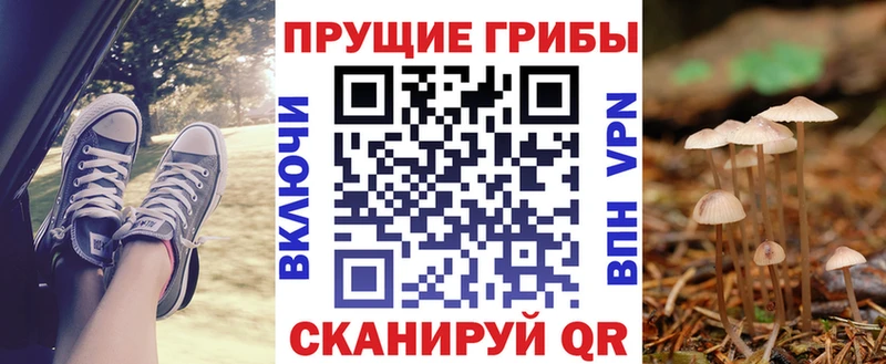 где найти наркотики  Тулун  нарко площадка какой сайт  Псилоцибиновые грибы MAGIC MUSHROOMS 