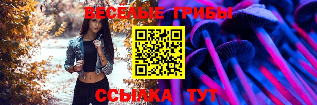 Тулун  Галлюциногенные грибы мухоморы  Вход с VPN 